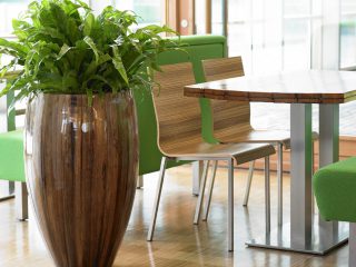 Greener Interieurbeplanting